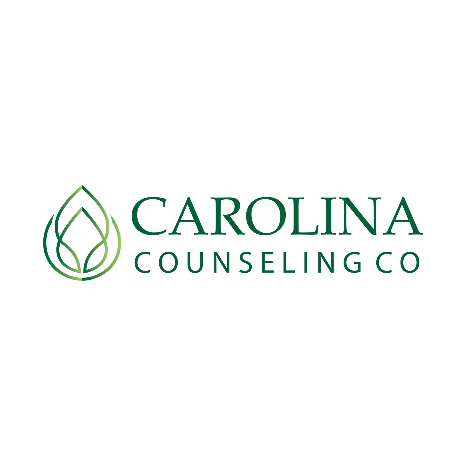 Carolina Counseling Co