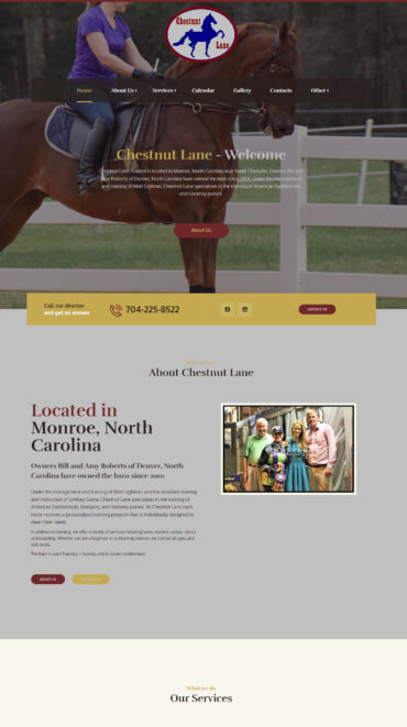 Palmetto Design Firm Portfolio Chestnut Lane Website