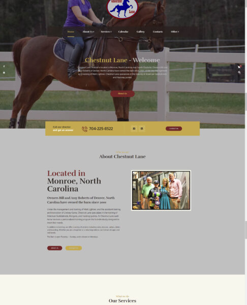 Palmetto Design Firm Portfolio Chestnut Lane Website