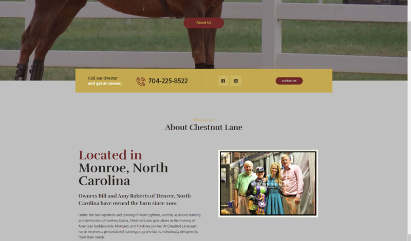 Palmetto Design Firm Portfolio Chestnut Lane Website