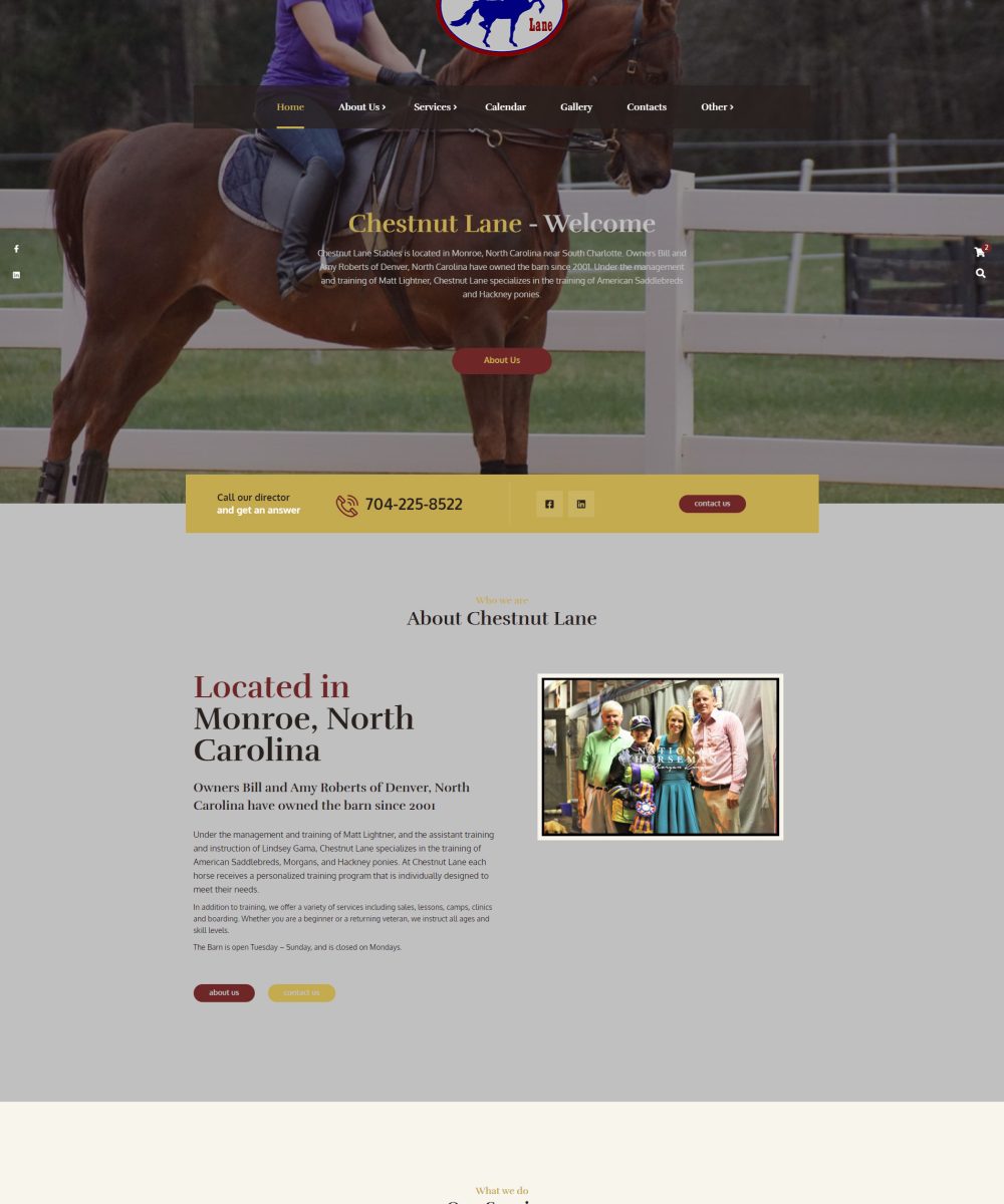 Palmetto Design Firm Portfolio Chestnut Lane Website web design