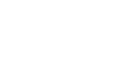 Palmetto Design Firm